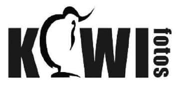 Kiwifotos logo