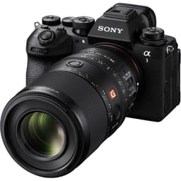 Sony FE 100mm f/2.8 Macro GM Lens 