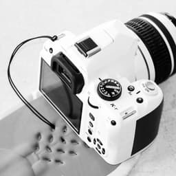 Miggo Strap &amp; Wrap DSLR için Koruyucu Kılıfa Dönüşen Askı (Zebranation)