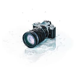 Olympus m.Zuiko ED 12-100mm f/4 IS PRO Lens