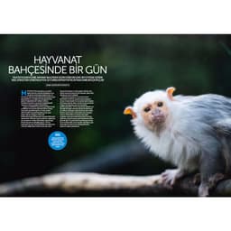 Digital SLR Photography MAKRO Close-Up &amp; Vahşi Yaşam Özel Sayı