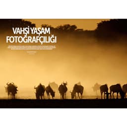 Digital SLR Photography MAKRO Close-Up &amp; Vahşi Yaşam Özel Sayı