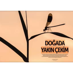 Digital SLR Photography MAKRO Close-Up &amp; Vahşi Yaşam Özel Sayı