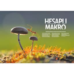 Digital SLR Photography MAKRO Close-Up &amp; Vahşi Yaşam Özel Sayı