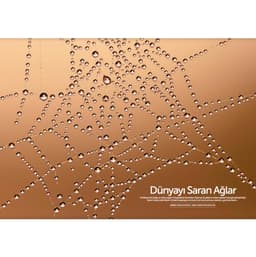 Digital SLR Photography MAKRO Close-Up &amp; Vahşi Yaşam Özel Sayı