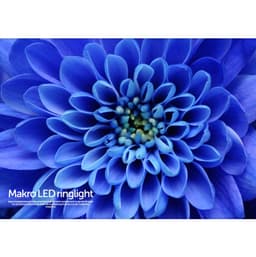 Digital SLR Photography MAKRO Close-Up &amp; Vahşi Yaşam Özel Sayı