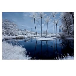 Hoya Infrared IR R72 Filter 720 nm 49mm