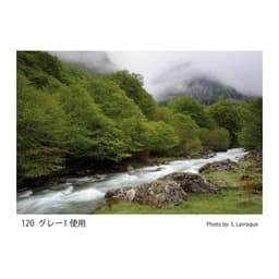 Cokin Grad. Neutral Grey G1 (N4) (0.6) Filtre (Z120)