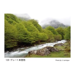 Cokin Grad. Neutral Grey G1 (N4) (0.6) Filtre (Z120)