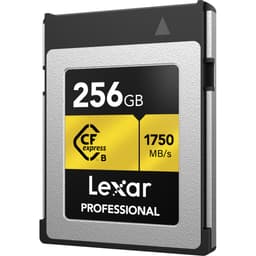 Lexar 256 GB Professional CFexpress Type B Card