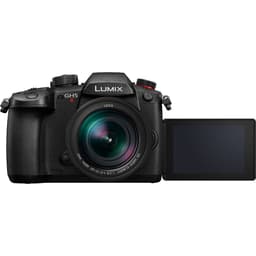 Panasonic Lumix DC-GH5 II + Leica 12-60mm f/2.8-4 Kit 