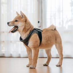 Insta360 GO 2 Pet Strap Mount CING2CB/J