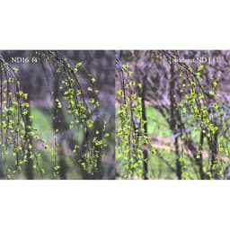 Hoya PRO ND 16 77mm (4 Stop)