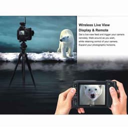 Aputure GWII-C3 Gigtube Wireless II Wireless LCD/Remote