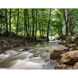 Hoya PRO ND 100 67mm (6.6 Stop)