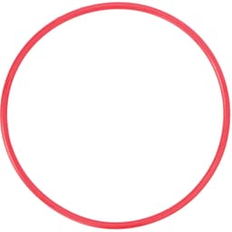 Olympus POL-054 O-Ring for PT-054 Underwater Housing