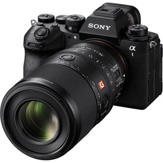 Sony FE 100mm f/2.8 Macro GM Lens 