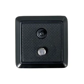 Vanguard QS-29 Plate