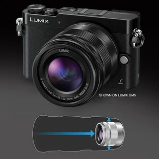 Panasonic Lumix G Vario 35-100mm f/4.0-5.6 ASPH. MEGA O.I.S. Lens 