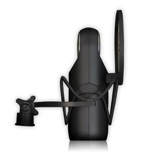 Aston Element Bundle (Shock Mount + Pop Filter)