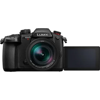 Panasonic Lumix DC-GH5 II + Leica 12-60mm f/2.8-4 Kit 