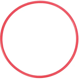Olympus POL-054 O-Ring for PT-054 Underwater Housing